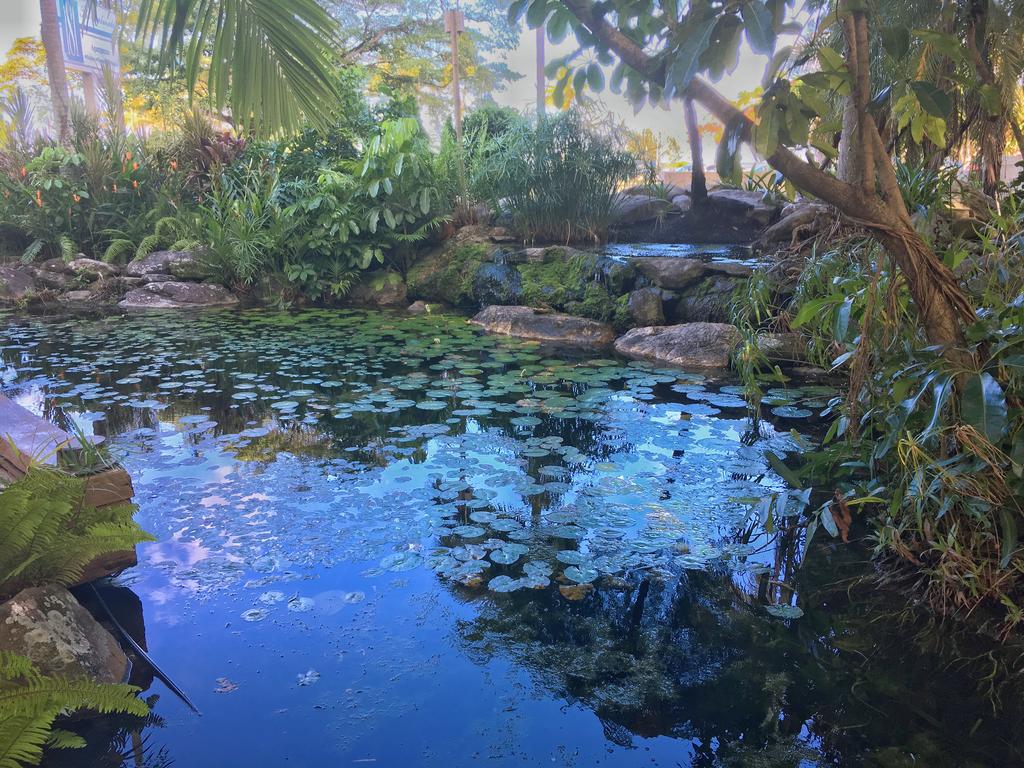 2 bedroom ground floor Apartment 1N