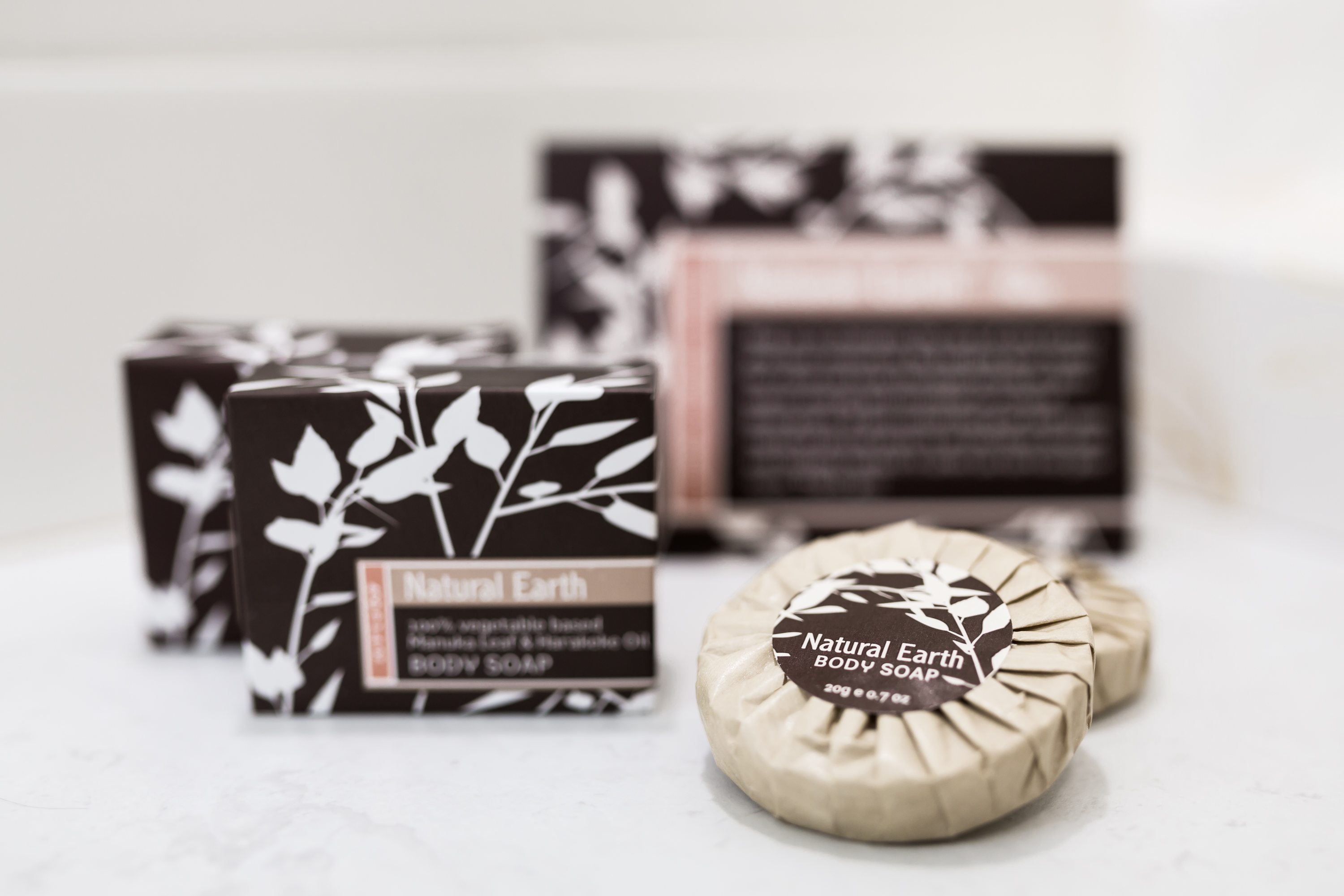 Deluxe 2 Bedroom Apartment