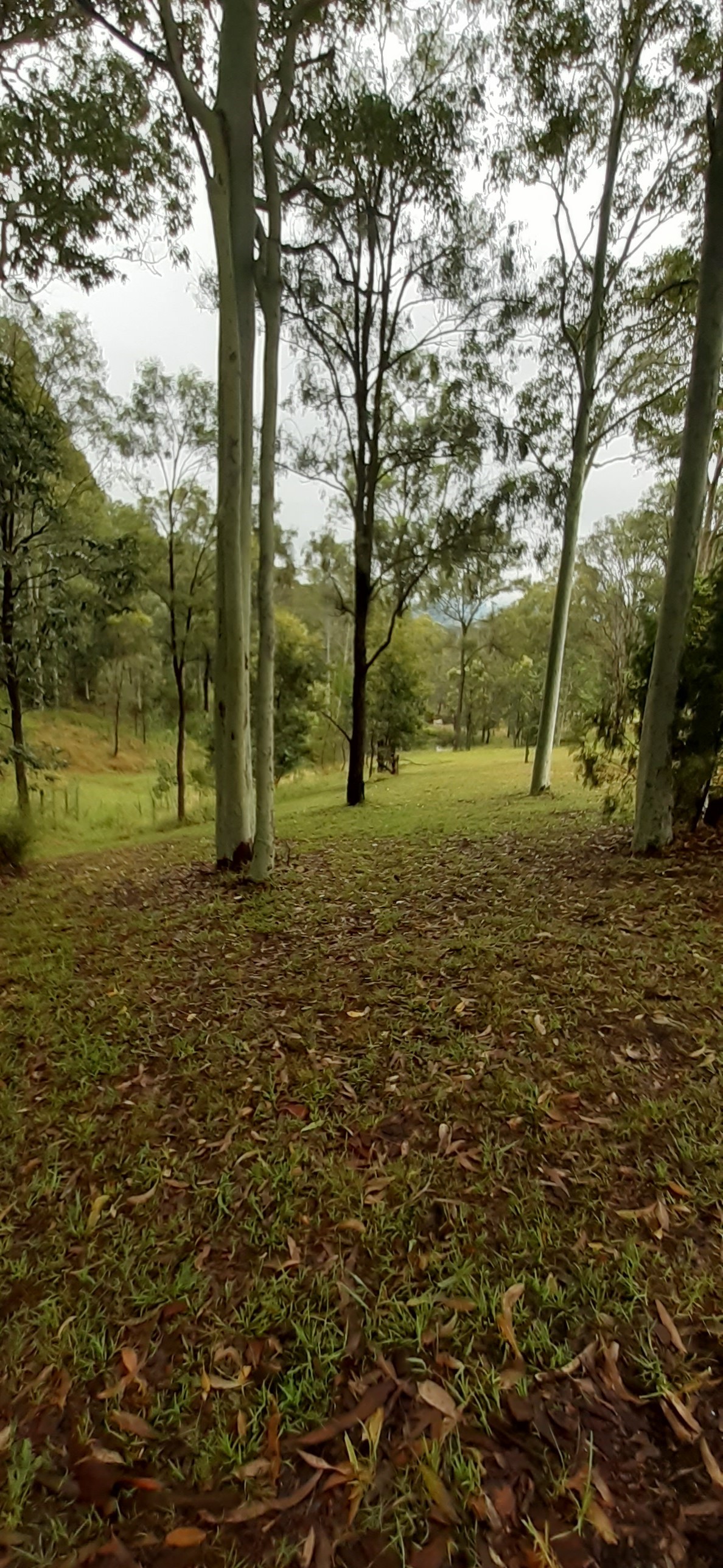 Deluxe King Suite with verandah